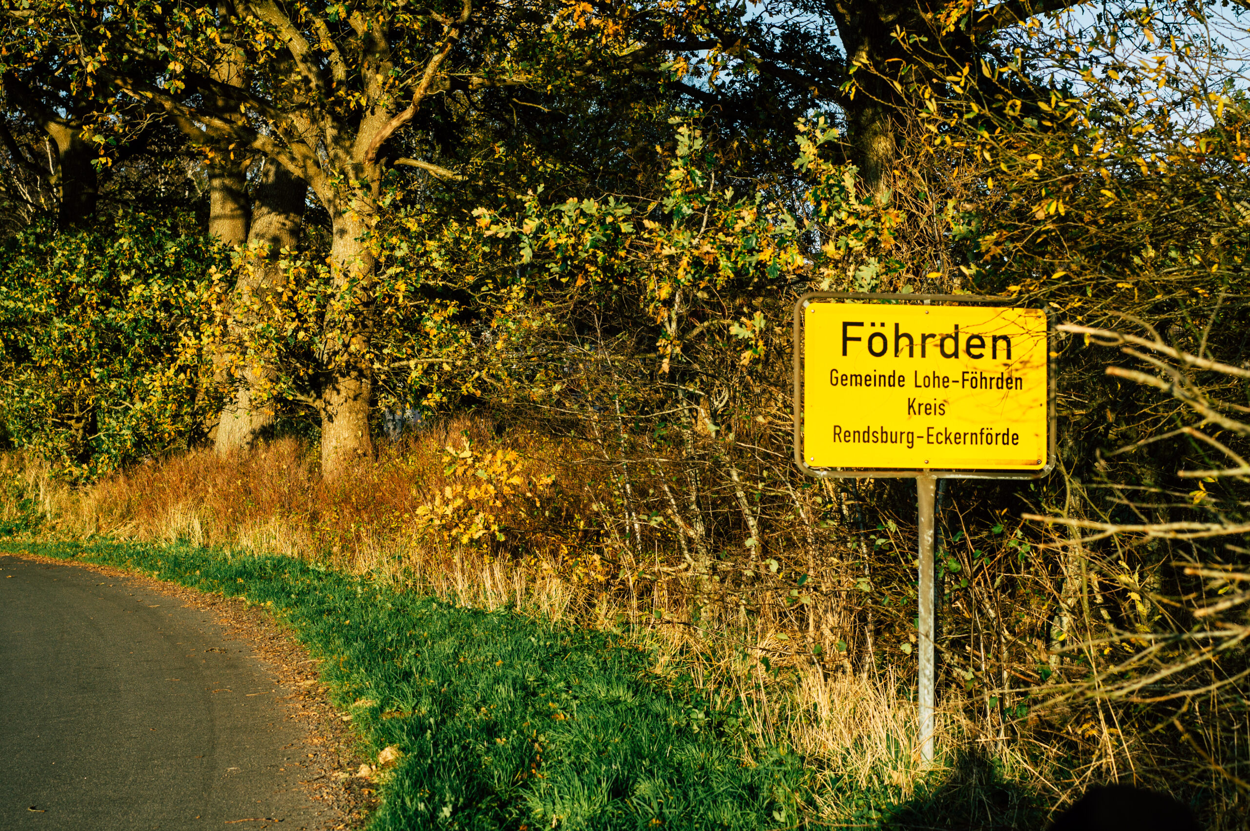 Gewerbe in Lohe Föhrden